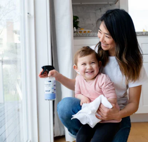 Endocrine Disruptors in Cleaning Products Exploring The Risks and Alt