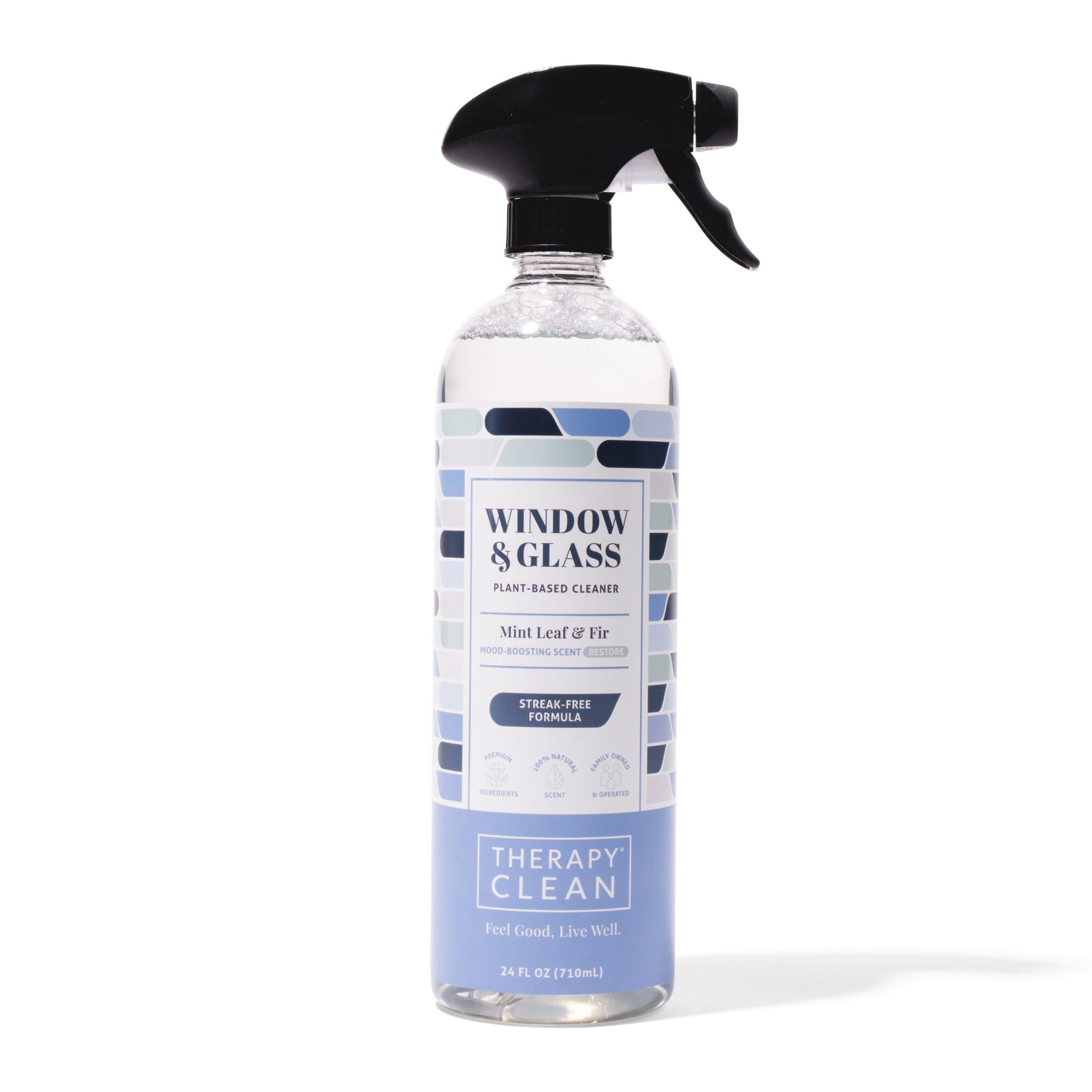 Theaoson Super Clean All Glass and Window Cleaner Spray for a Streak-Free  Shine Including Mirrors, Windows, Kitchen, Home, and Auto - China Glass and Window  Cleaner Spray and Theaoson 450ml Aerosol Glass