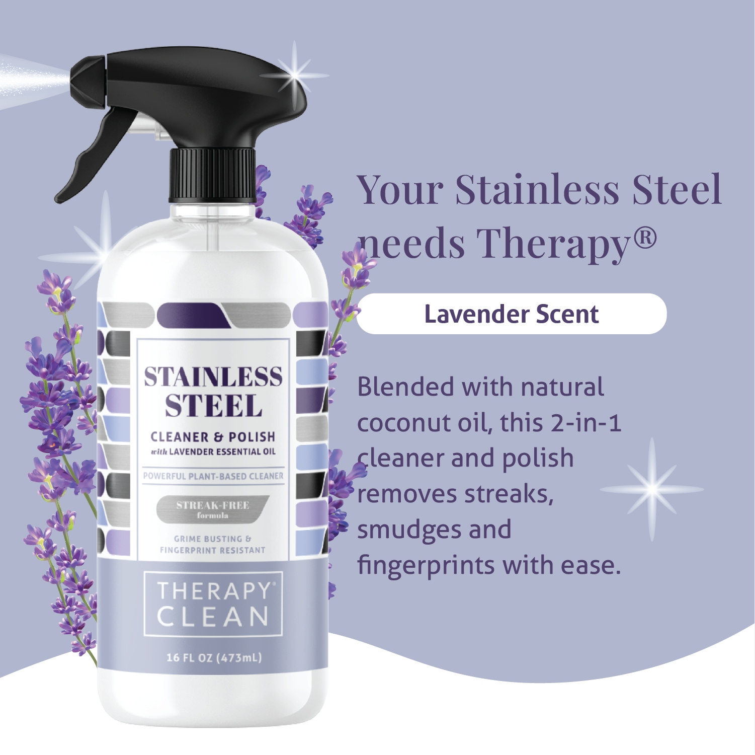 Clean With Conscience: Natural Stainless Steel Cleaner – Therapy Clean
